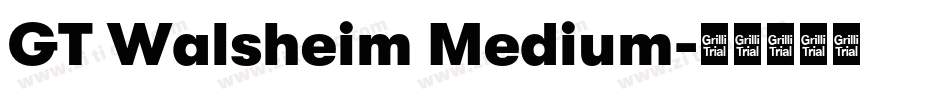 GT Walsheim Medium字体转换